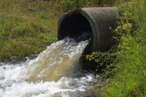 The Evolution Of Sewage Treatment