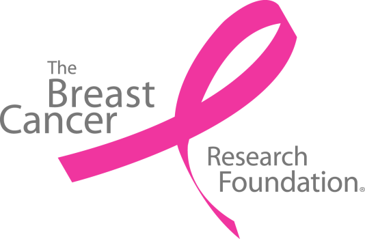 How Breast Cancer Foundations Function