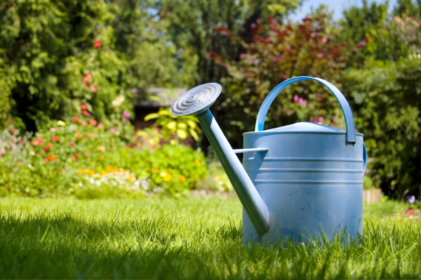 6 Ways To Get Your Lawn And Garden Ready For Spring