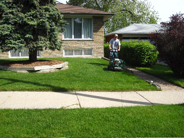 Choosing The Right Grass For Your Lawn