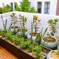 How To Make The Most Of Your Small Garden