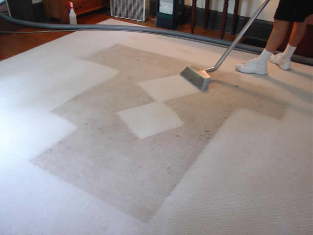 Keeping The Carpet Clean Without A Service
