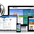 Design Your Website Using Wordpress