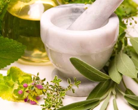 A Brief Overview On Herbal Medicines
