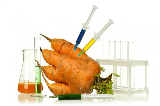Dangers of Genetically Engineered Foods