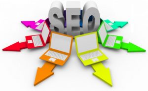 How to Choose Reliable SEO Software?