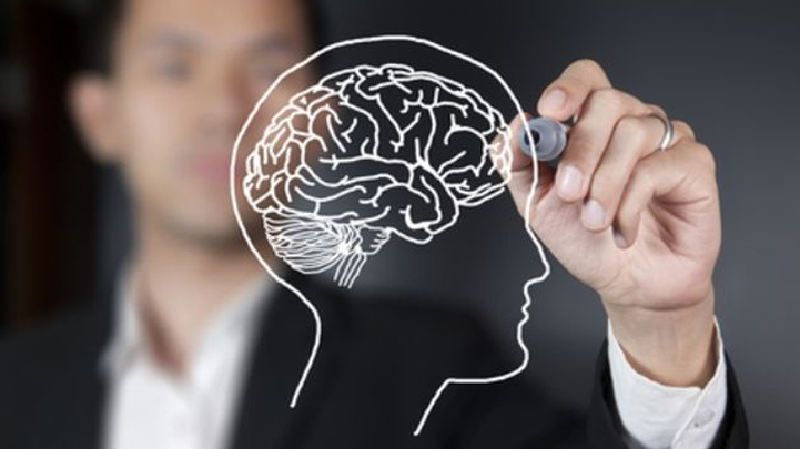 The Popular and The Notable Sources and Supplements Of Choline