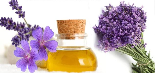Lavender Oil: The Most Popular Essential Oil