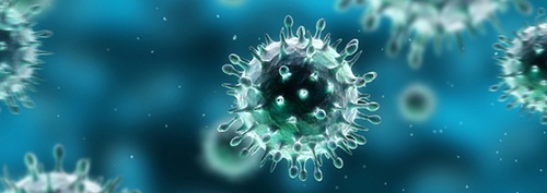 Influenza: A “Flu”