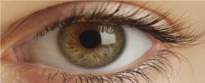 Complete Understanding About Vision Distortion- Corneal Ectasia