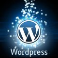 Best Wordpress Themes