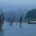 Touring The Amazing Periyar National Park