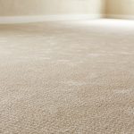Best Carpet Drying Tips