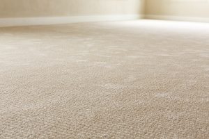 Best Carpet Drying Tips
