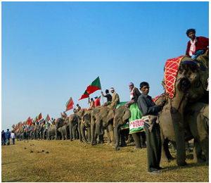Assam: Explore The Unexplored Land