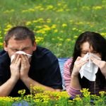 Seasonal Allergies and How Best To Control Them