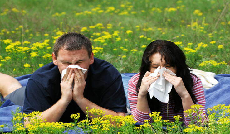 Seasonal Allergies and How Best To Control Them