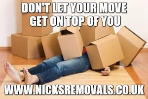 Moving Boxes That Fit Your Business