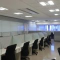 Shared Office Space and Its Growing Importance Among Young Entrepreneurs
