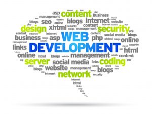 Web Development in Tampa
