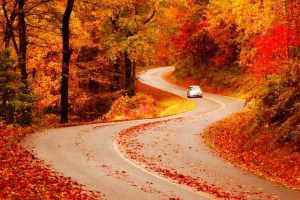The Guide to Southeast U.S. Fall Road Trips