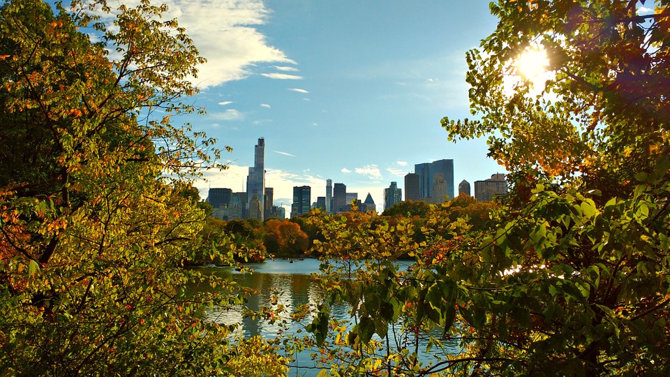 6 Things You Did Not Know About Central Park