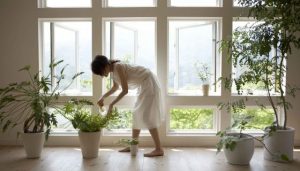 7 Ways To Health-Proof Your Home
