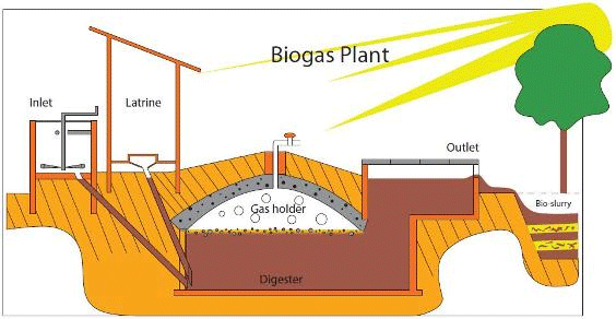 What Does A Biogas Generator Cost ?