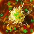 Prepare The Tasty and Tangy Vegetable Manchow Soup
