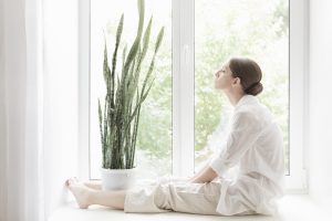 4 Plants For Your Bedroom That May Cure Insomnia