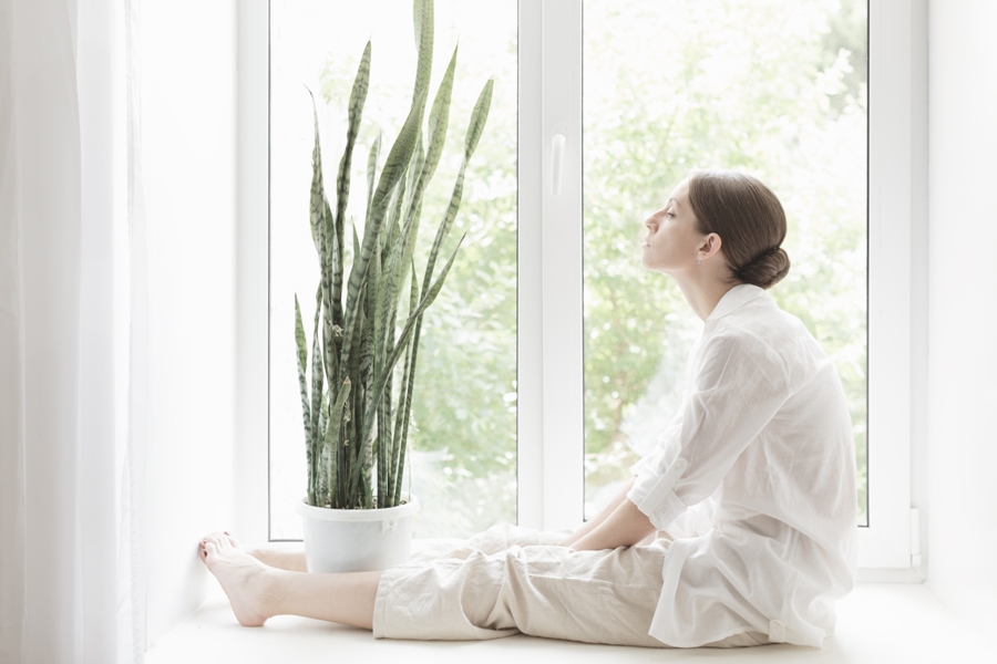4 Plants For Your Bedroom That May Cure Insomnia