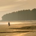5 Must Visit Untouched Beaches In Digha