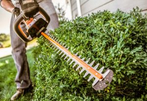 Factors You Should Consider Before Buying A Hedge Trimmer