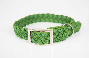 5 Reasons Why You Should Get A Hemp Collar For Your Dog