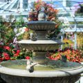 5 Tips On How To Clean Your Indoor Fountain