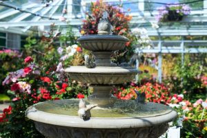 5 Tips On How To Clean Your Indoor Fountain
