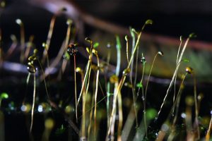 Humidity Systems Know The Facts and Stay Safe