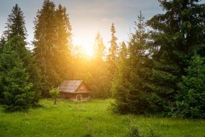 How To Build Your Own Cabin