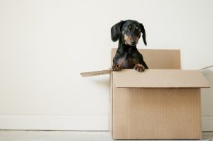 Top Tips For A Pain Free House Move