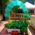 Growing and Developing Your Very Own Garden