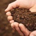 Soil Testing LABORATORY