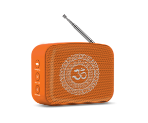 Saregama carvaan Mini Audio Player