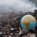 Ways You Can Help Save the Environment