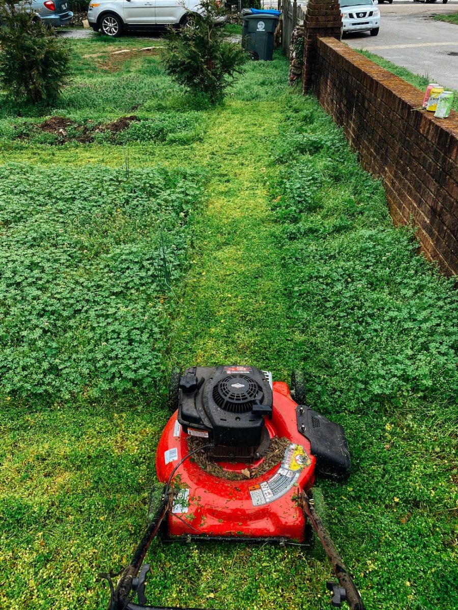 Exploring Landscaping Ideas and Tools Like A Lawn Mower Cover For Enhancing The Look Of Your Yard