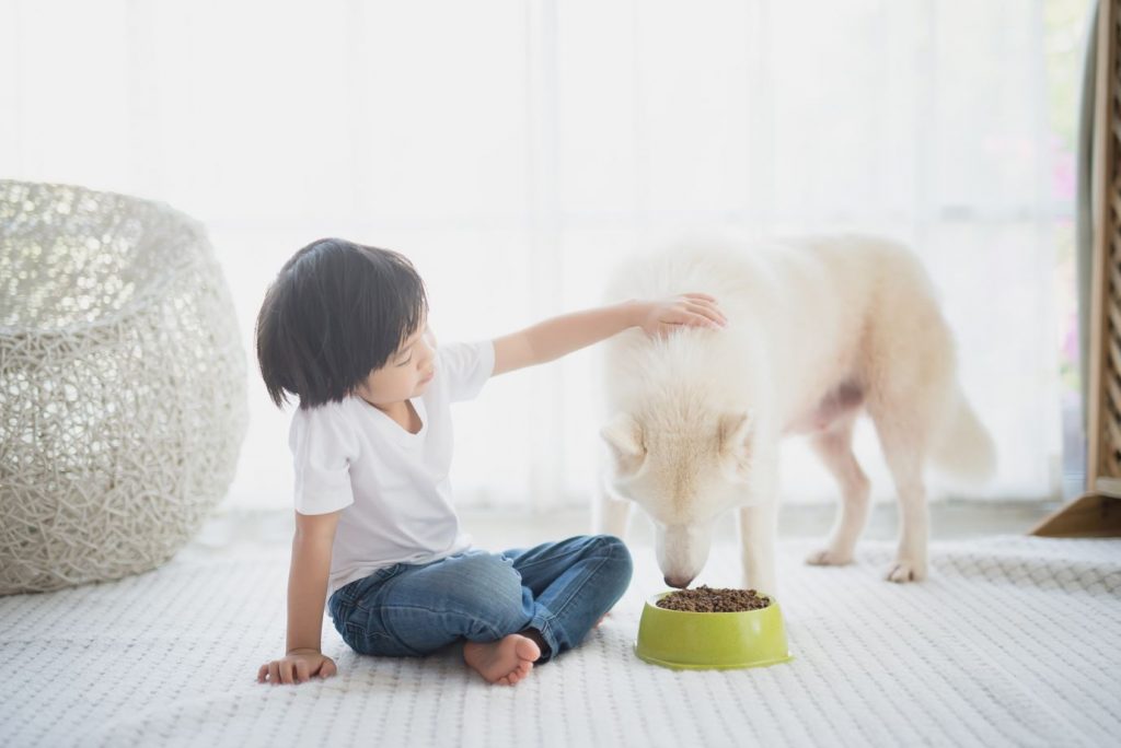 Common Ways Your Kids and Your Pets Could Be Damaging Your Home