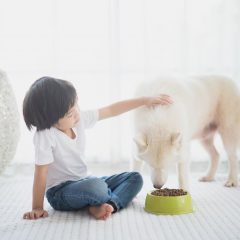 Common Ways Your Kids and Your Pets Could Be Damaging Your Home