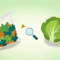 Isometric bag of mixed salad greens beside a whole head of lettuce with a magnifying glass and warning sign, comparing bagged salad and whole lettuce food safety