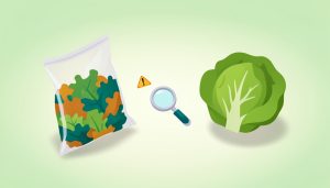 Isometric bag of mixed salad greens beside a whole head of lettuce with a magnifying glass and warning sign, comparing bagged salad and whole lettuce food safety